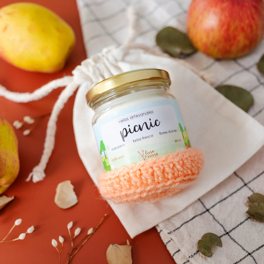 Picnic